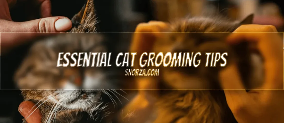 Essential Cat Grooming Tips