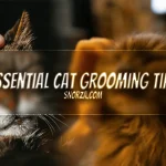 Essential Cat Grooming Tips
