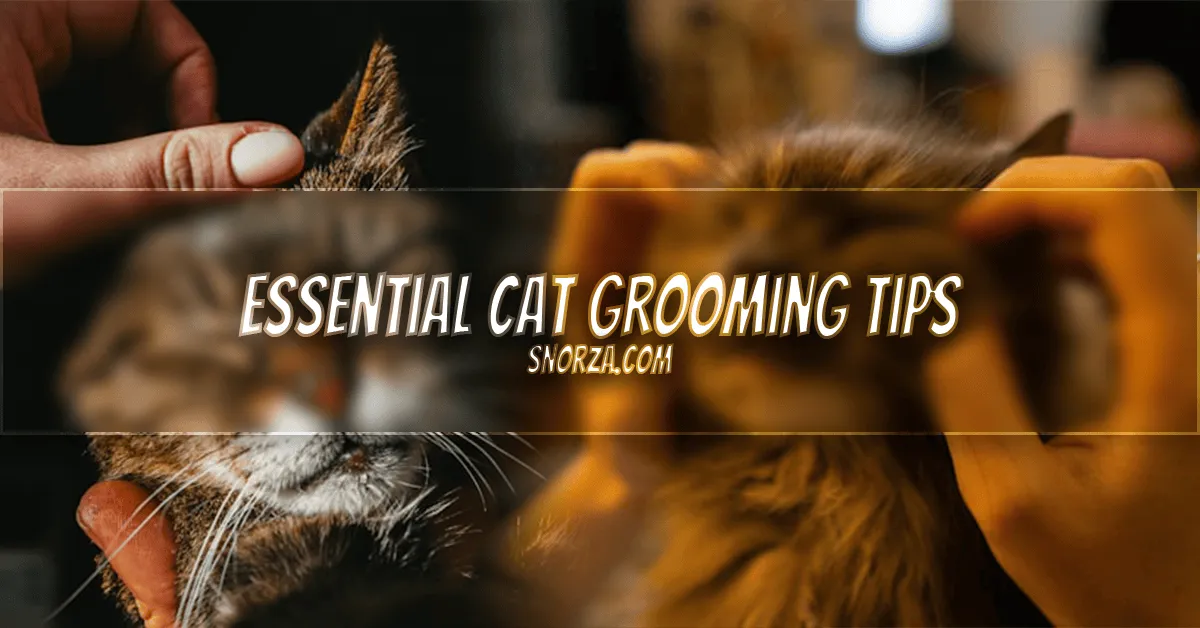 Essential Cat Grooming Tips to Keep Your Cat Healthy and Happy Essential Cat Grooming Tips