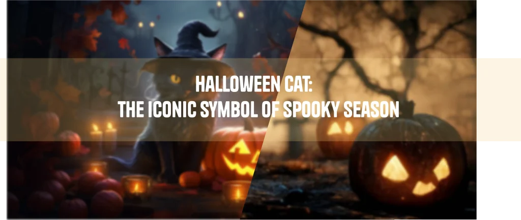 Halloween Cat: The Iconic Symbol of Spooky Season Halloween Cat The Iconic Symbol of Spooky Season