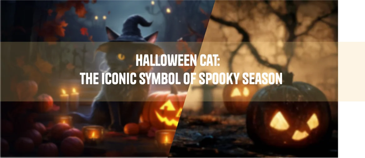 Halloween Cat The Iconic Symbol of Spooky Season