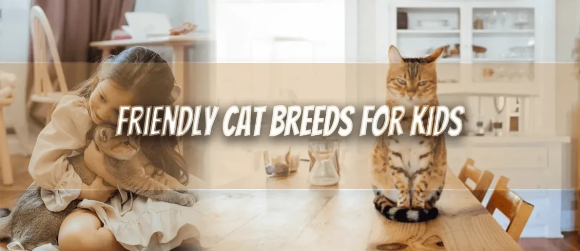 cat breeds for kids
