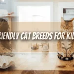 cat breeds for kids