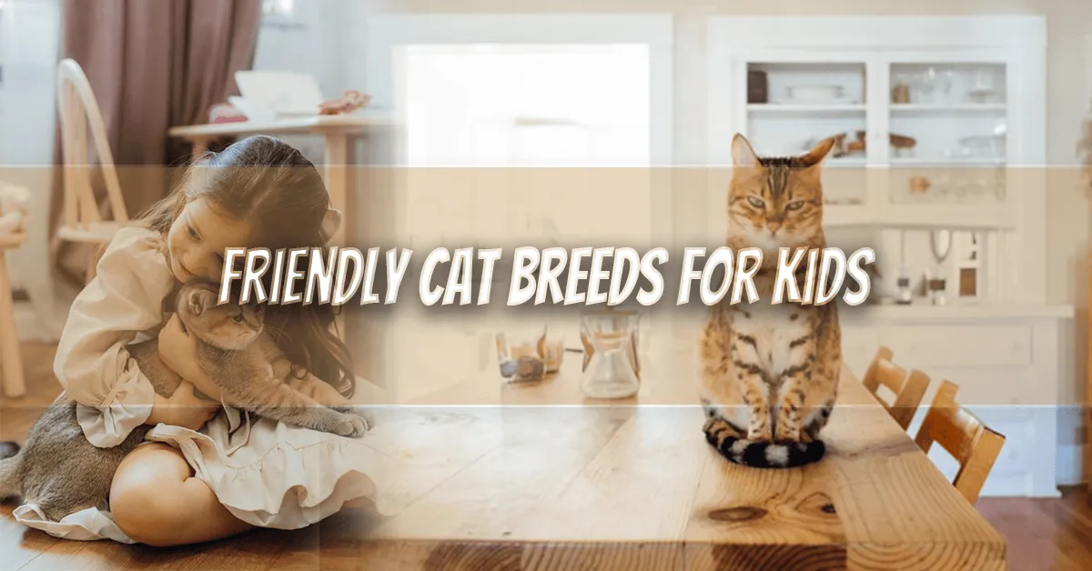 10 Friendly Cat Breeds for Kids: Perfect Family Companions cat breeds for kids