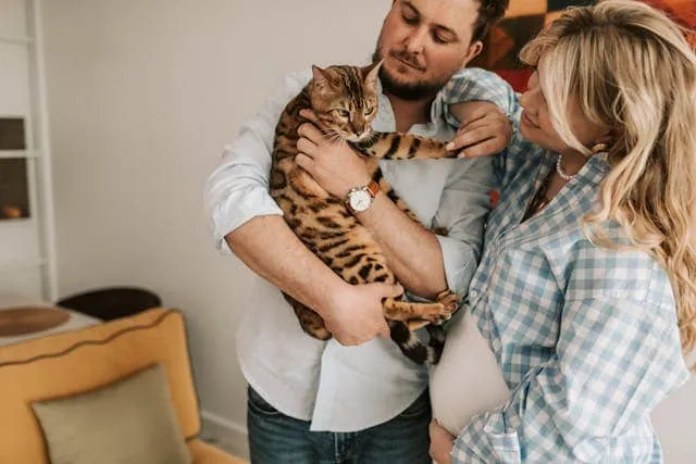 cat with family
