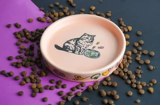 cat Food plate