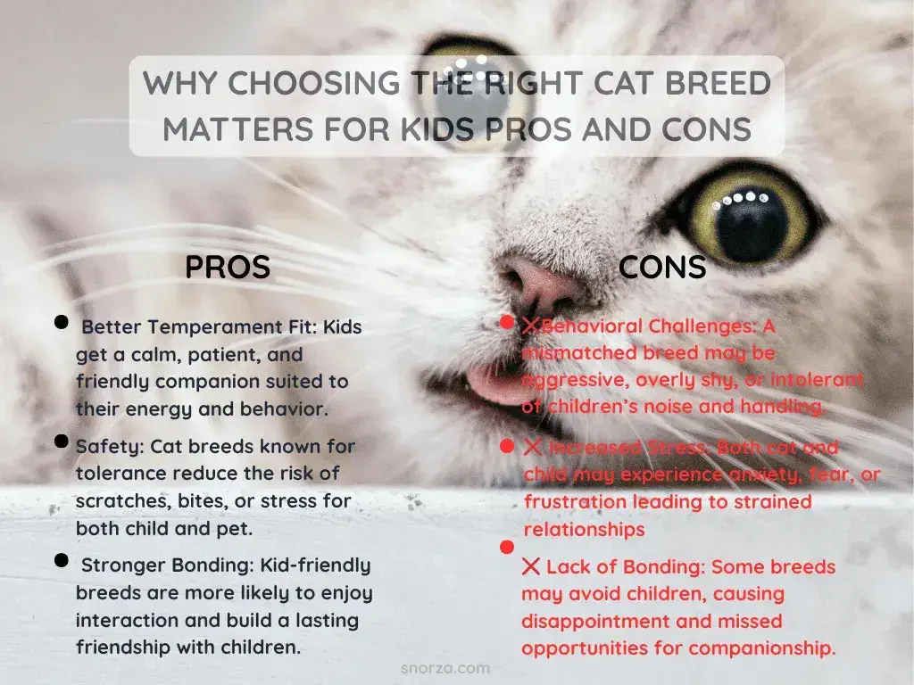 Why Choosing the Right Cat Breed Matters for Kids